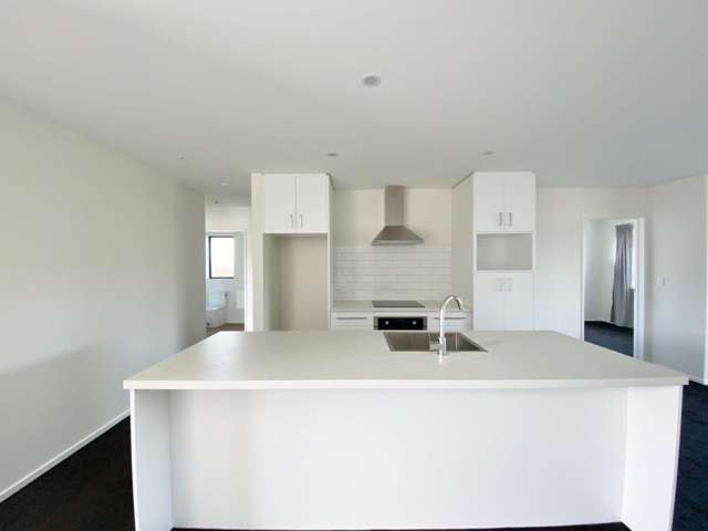 A/225 Lowes Rd Rolleston_3