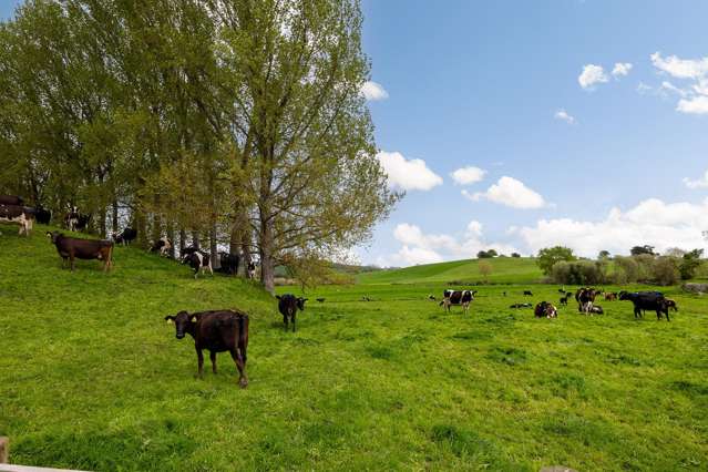 426 Kairangi Road Rotoorangi_3