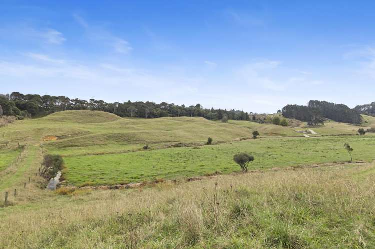 316 Bluff Road Pokeno_16