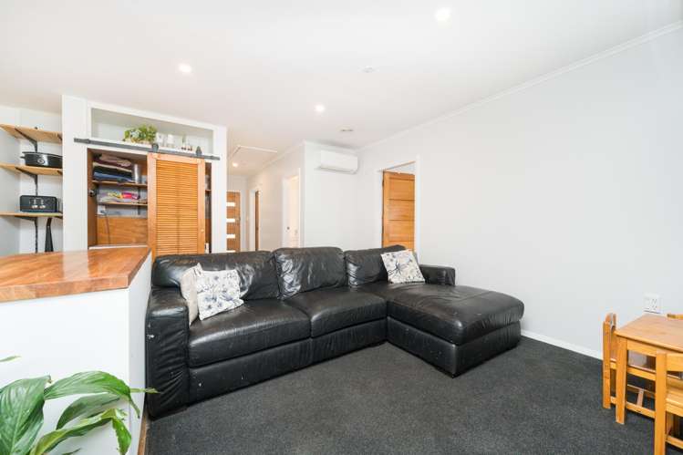 31 Rangiora Avenue Roslyn_4