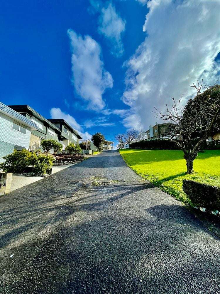 1/4 Tahora Avenue Remuera_10