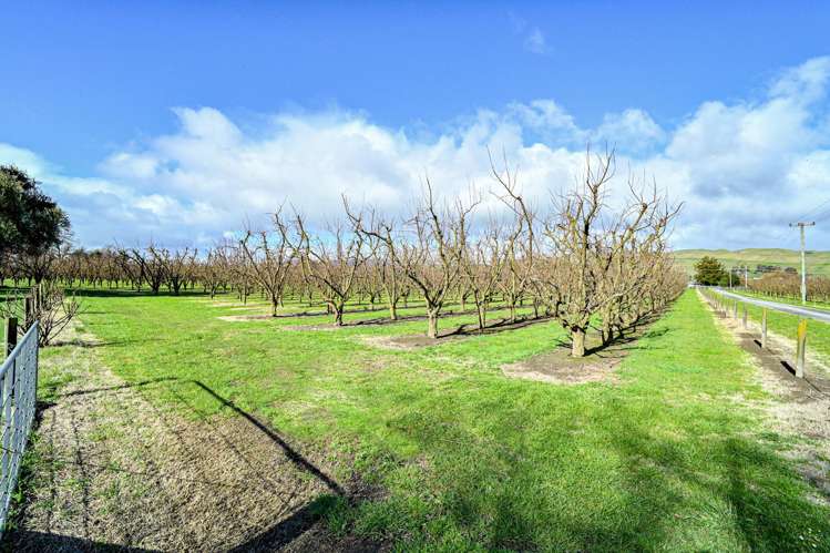 108 Mount Erin Road Havelock North_23