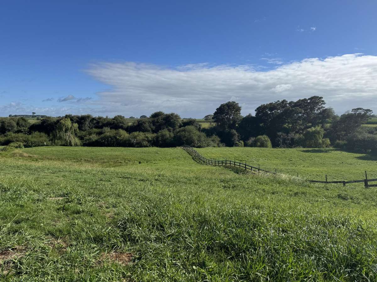 337 Kiwitahi Railway Road_5