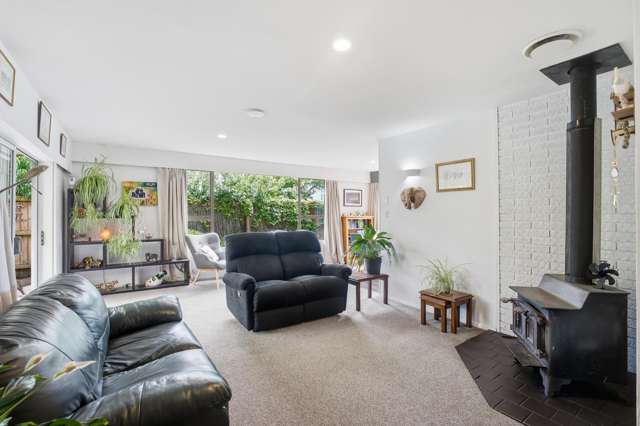 9 Terrace Road Leithfield_2