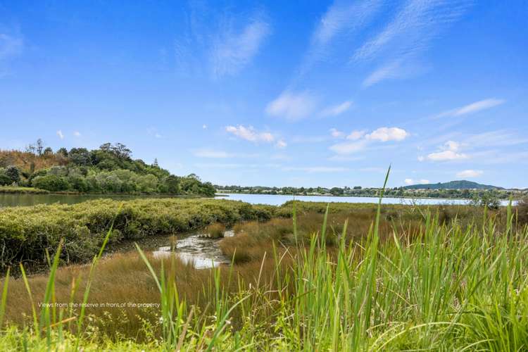 6a Lloyd Street Parkvale_19