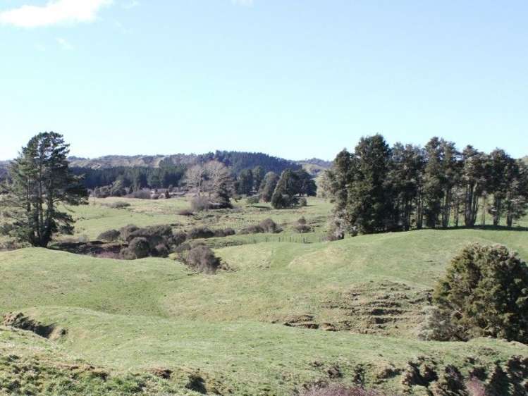 1427 Waitaanga Road Ohura_16