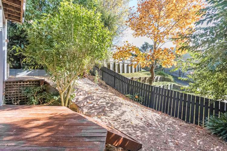 2b Cradock Street Avondale_23