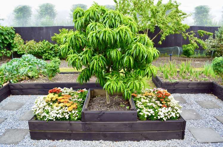 78 Main Road Lower Moutere Lower Moutere_31