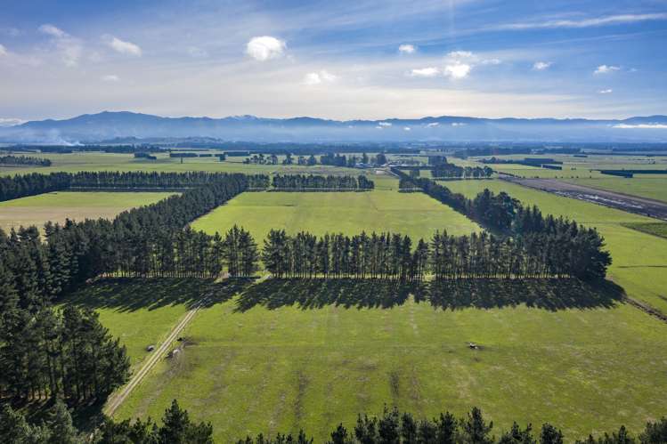 1197 Wolffs Road West Eyreton_4