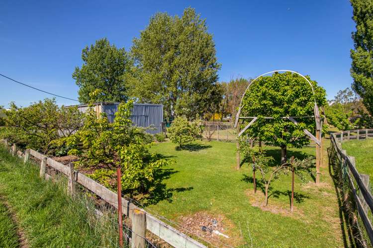 1031 Earnscleugh Road Alexandra_20