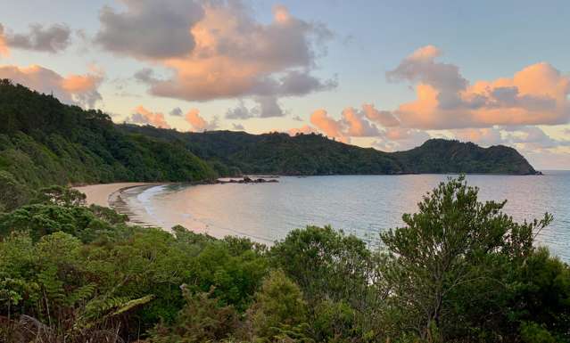 125C Sailors Grave Road, Pumpkin Hill Tairua_1