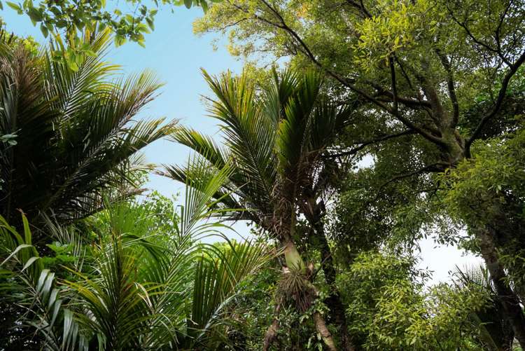 44 J Irwin Road Waiuku_20