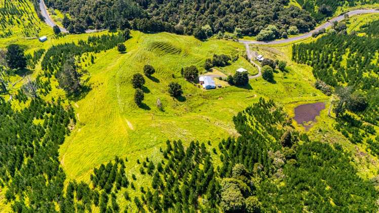 386 Pawarenga Road Broadwood_31