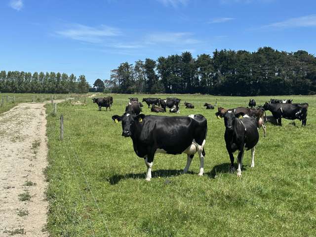 Entry point dairy farm