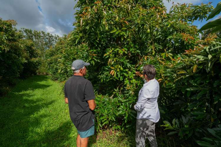 169 Tuapiro Road Katikati_17