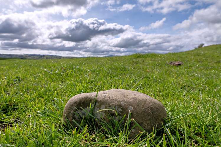 169 Addison Road Waimana_4