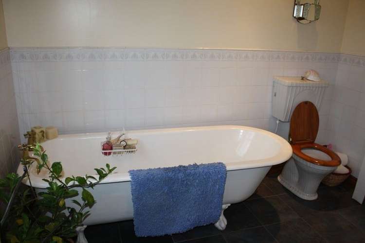 248 Airedale Road Weston_10