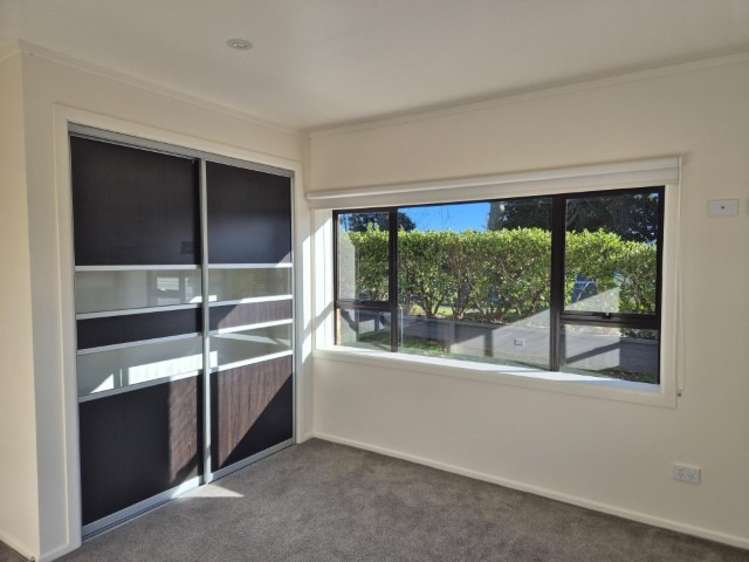 236b Waihi Road Judea_5