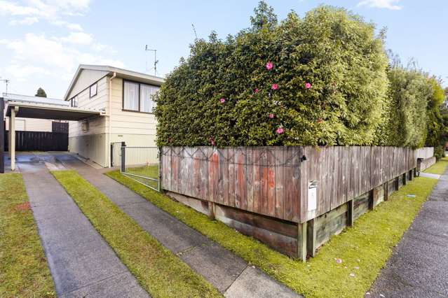 5 David Street Nawton_2