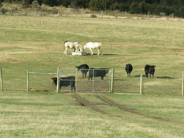 365 Maungawera Valley Road Albert Town_4