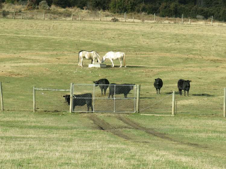 365 Maungawera Valley Road Albert Town_4