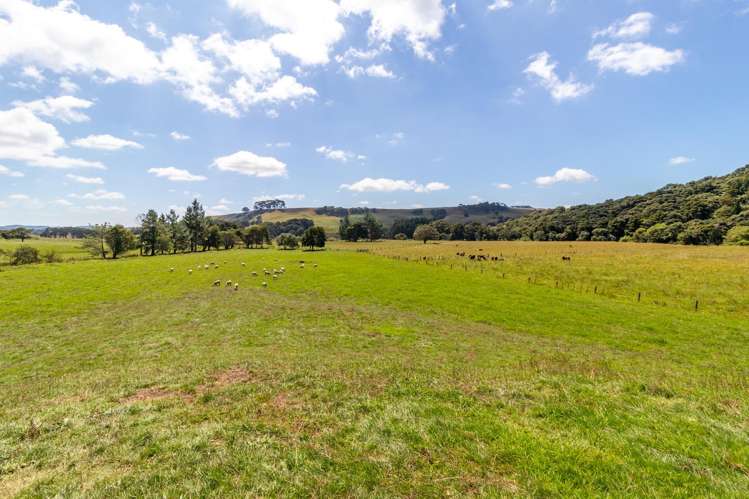 35 & 35A Cane Road Waimauku_19