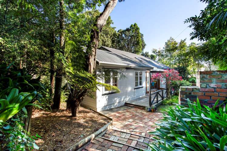 15 Victor Street Avondale_20