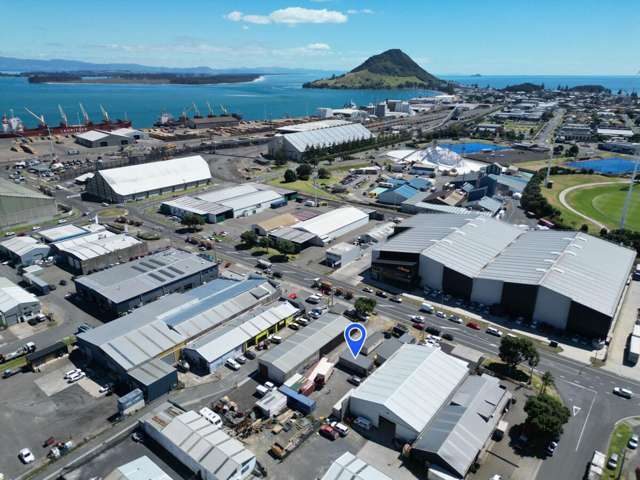 89 Hull Road Mount Maunganui_1