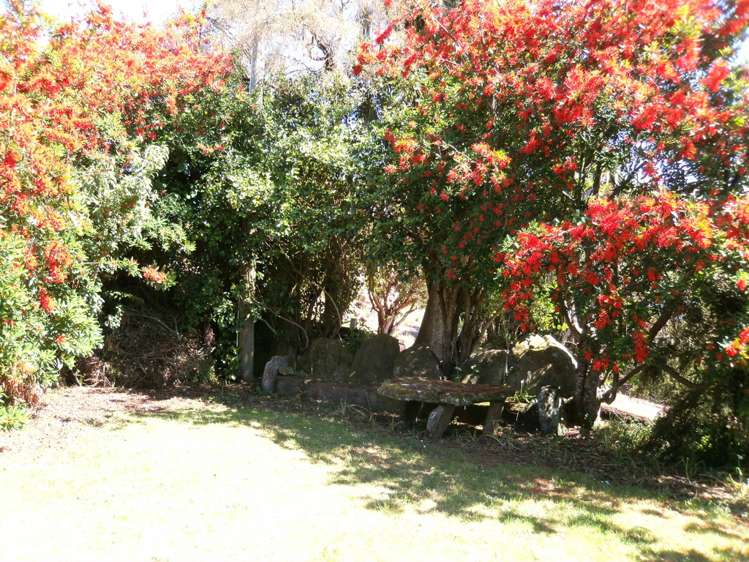 10 Chaslands Highway Papatowai/Pounawea_17