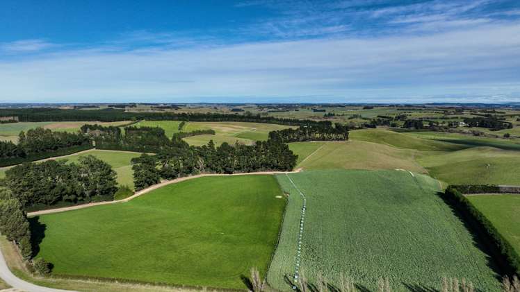 55 McGill Road Te Tipua_13