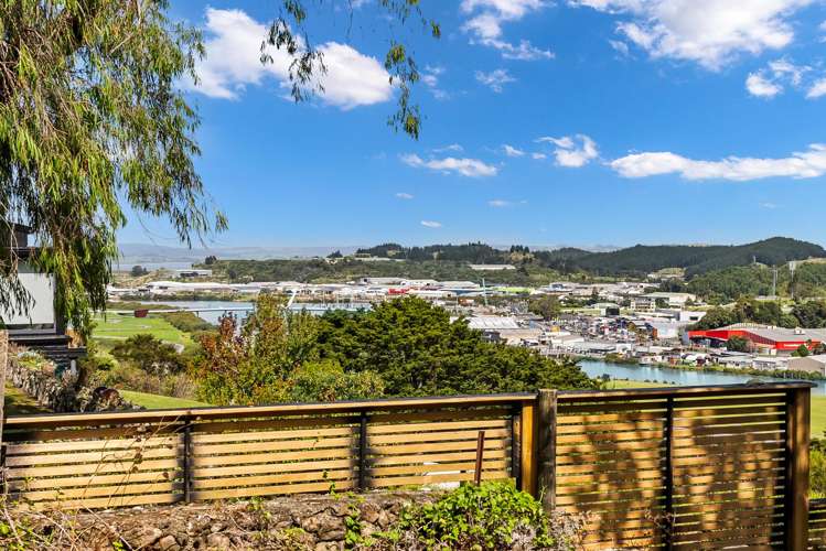 34 Punga Grove Avenue Riverside_9