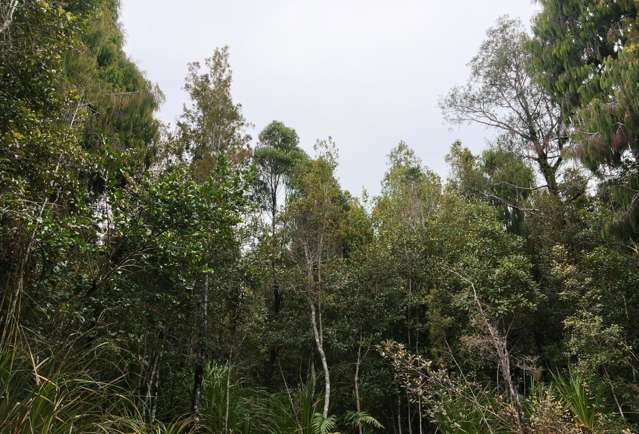Lot 74 Sanctuary Place Kumara Junction_3