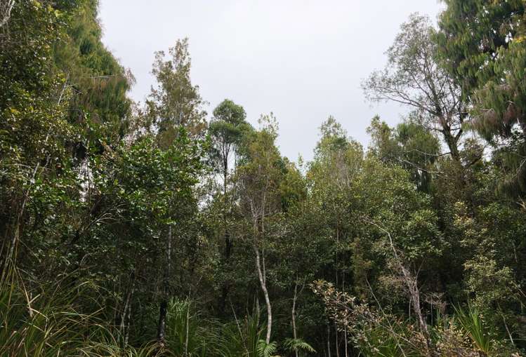 Lot 74 Sanctuary Place Kumara Junction_3