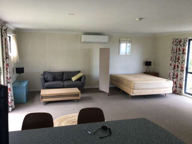 134 Biddle Road Wellsford_1