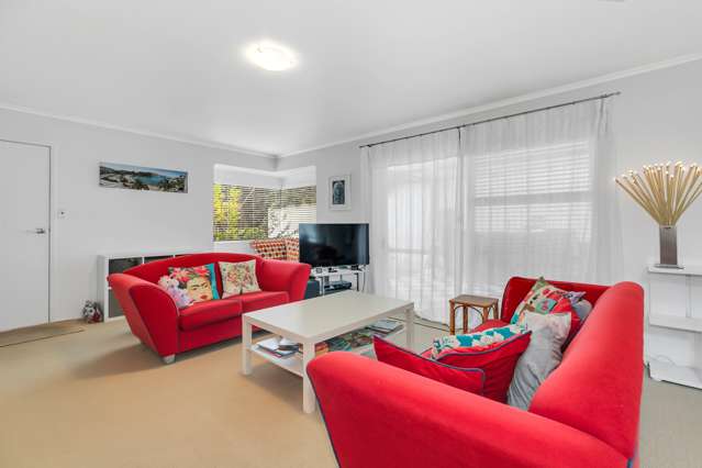 39d Wright Road Point Chevalier_2