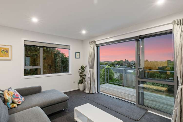 39 Vernon Terrace Hillsborough_29