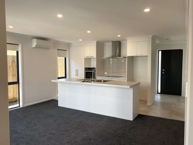 106 Union Drive Papamoa_2