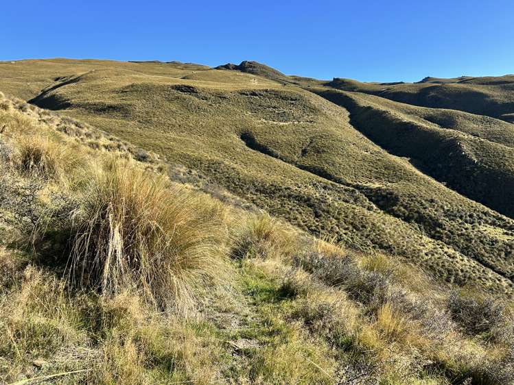 7797 Hyde-Middlemarch Road Middlemarch_14