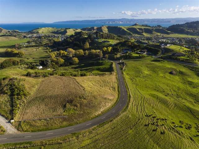 Wheatstone Road Wainui_3