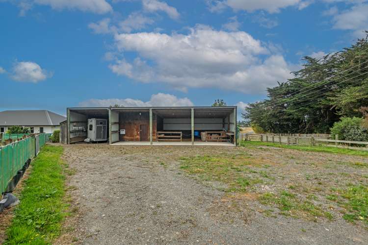 317c Mount Biggs Road Halcombe_28