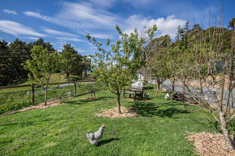 127 Mountain View Road_3