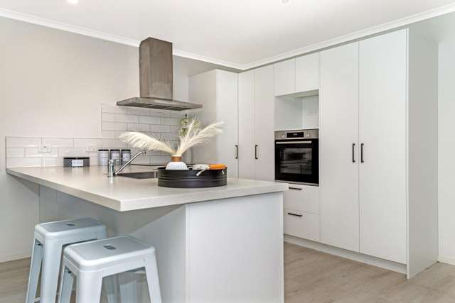 12 Harris Street Kaiti_3