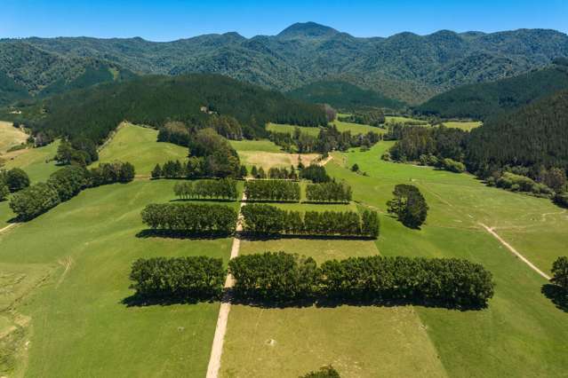 6679 State Highway 6 Rai Valley_4