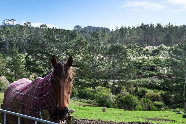 45b Inglis Road Huntly_21