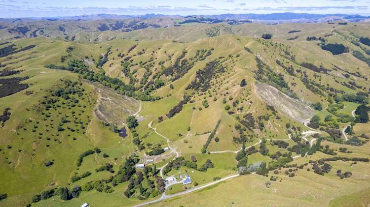 411 Cannock Road Hinakura_0