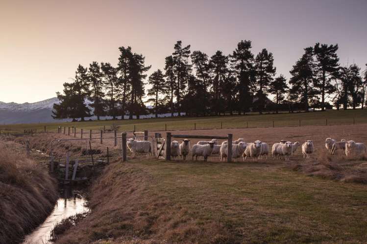 36 Glencoe Road Crown Terrace_16