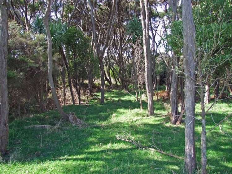 172 Wharariki Road Kahurangi National Park_7