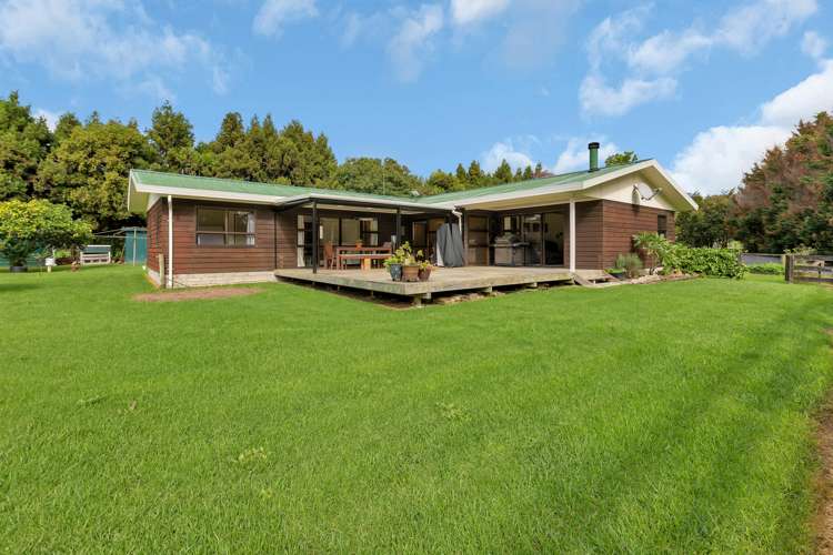 137 Harris Road Glenbervie_5