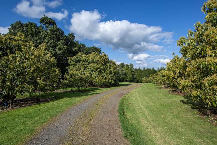 131 Tatton Road Maungatapere_36