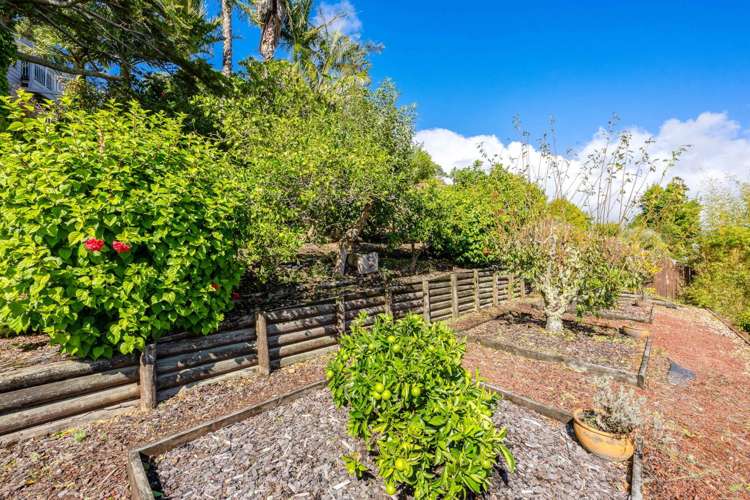 39 Squirrel Lane Browns Bay_31